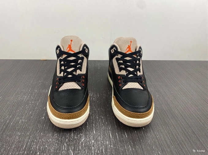 Rep TBK 3824 3 Desert Lightweight Elephant Jordan Retro CT8532- 1015